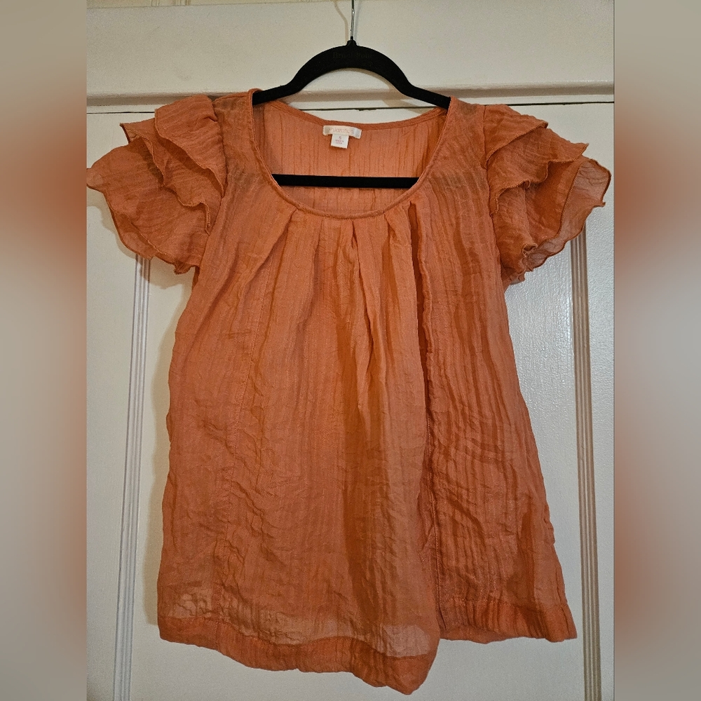 Sheer Ruffle Sleeve Flowy Top Size Small